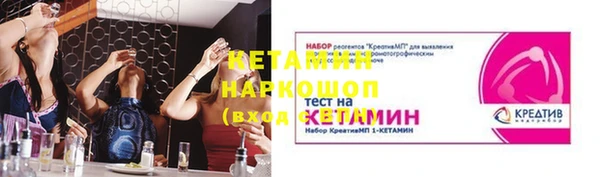 сатива Болотное